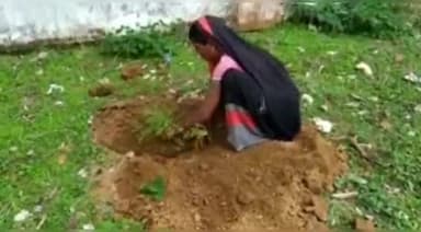 इचाक: प्रखंड विकास पदाधिकारी इचाक रिंकू कुमारी में क्षेत्र के लोगों को जीवन में एक पौधा लगाने की अपील की