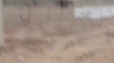 राजिम: एक और दतैल हाथी पैरी नदी पार कर पहुंचा पांडुका वनपरिक्षेत्र में 20 से अधिक गांव में हाई अलर्ट जारी m