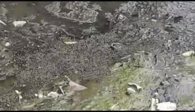 मोहम्मदी: गरवापुर गांव में गंदी नालियों व रास्तों पर भरे गंदे पानी के कारण फैले संक्रमण से 6 वर्षीय बच्ची की हुई मौत