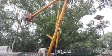 गोगरी: गोगरी प्रखंड अंतर्गत जेई गंगासागर के निर्देश पर 4 से 5 घंटों तक बिजली रहेगी बाधित, बड़े वृक्षों का काटा जा रहा है टहनी