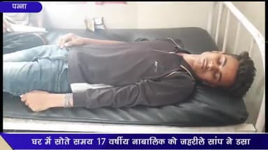 अजयगढ़: माधौगंज में घर में सोते समय 17 वर्षीय लड़के को जहरीले सांप ने डसा, सामुदायिक स्वास्थ्य केंद्र अजयगढ़ में भर्ती