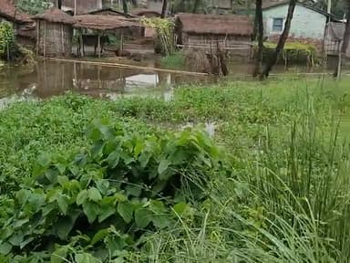 गायघाट: जारंग पूर्वी गांव में वर्षा का पानी घुसा घर में । करना यह है की पानी क्रॉस होने वाला नाला जाम #jarangdih @gaokikhabar