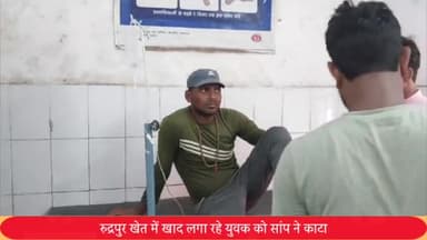 कलीनगर: रुद्रपुर में खेत में खाद लगा रहे युवक को सांप ने काटा, जिला अस्पताल रेफर