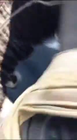 बिसौली: टोडरपुर गांव के एक व्यक्ति पर भूड़ी चौराहे पर दो लोगों ने ईट और लाठी डंडा मारकर घायल किया