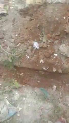 कोल: #Nidhivan colony gali no. 3 ke log krte huyee safai..Nagarnigam ke na sunne pr logo ne khud safai krne ka liye faisla