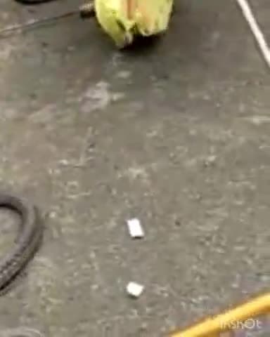 गोगरी: पुनोर तिहाई गांव में कांती शर्मा के घर में निकला एक गहुमान सांप लोगों में मचा हाहाकार, वन विभाग की टीम ने किया रेस्क्यू