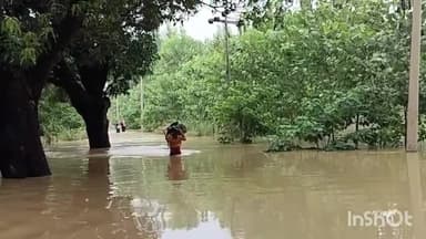 महसी: शिवपुर क्षेत्र में एक बार फिर सरयू नदी ने कहर बरपाना शुरू कर दिया है, बाढ़ के पानी से दर्जनों गांव जलमग्न।