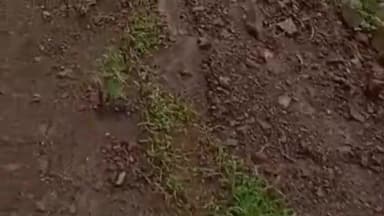 मोरनी: गांव घाटी के नजदीक लैंड स्लाइडिंग, मलवा खेतों में गिरा किसानों की फसल हुई खराब, घरों में आई दरारें