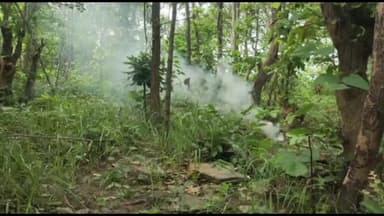 जमुई: जिले के गिद्धेश्वर जंगलों मे नक्सलियो के खिलाफ सर्च ऑपरेशन भारी मात्रा में विस्फोटक बरामद सुरक्षा बलो ने मौके पर किया