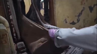 ब्यावरा: ब्यावरा‌ शहर के कोली मोहल्ले में पारिवारिक कलह के चलते एक बेटे ने की मां की हत्या, जांच में जुटी पुलिस