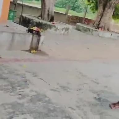 सलोन: माता मिढुरिन मंदिर पर परशदेपुर के चेयरमैन विनोद कौशल व एक व्यक्ति के बीच हुई मारपीट का वीडियो वायरल