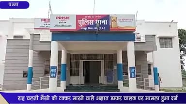 अजयगढ़: पेकनपुर व धरमपुर मेन रोड पर नाले के समीप भैंसों को टक्कर मारने का मामला, अज्ञात डंपर चालक के खिलाफ केस दर्ज