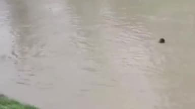 करनाल: कुंजपुरा से लापता शख़्स का आज तीसरे दिन भी नहीं लगा कोई सुराग, गांव कलवेहडी के समीप नहर में सर्च ऑपरेशन जारी