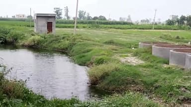 इसराना: कालखा गांव के गन्ने के खेतों मे एक व्यक्ति का शव हुआ बरामद, पुलिस जांट मे जुटी