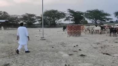 मोहनलालगंज: गोवंशों हुई मौत के बाद कमलापुर बिचलिका में गौशाला का निरीक्षण करने पहुंचे भारतीय किसान मंच के राष्ट्रीय अध्यक्ष