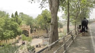 मंदसौर: सीतामऊ फाटक बड़ी पुलिया पर दो टू व्हीलर वाहन की टक्कर से एक व्यक्ति घायल, पुलिस ने किया मामला दर्ज