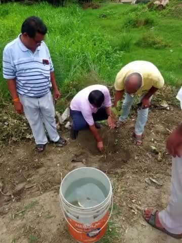 बरौली: मिशन बरगद वन महोत्सव के तहत बरौली में सभी पंचायतो में BDO और CO के नेतृत्व में लगाए गए 8000 पौधे