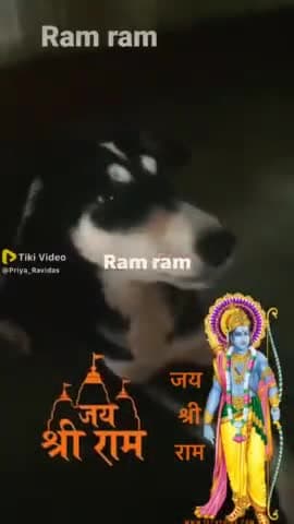 #Ab to janvar bhi ram ram bolne lage 
@jai shiree Ram