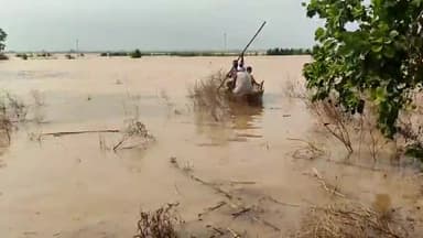 ਸੁਲਤਾਨਪੁਰ ਲੋਧੀ: ਦਰਿਆ ਬਿਆਸ 'ਚ ਪਾਣੀ ਦਾ ਪੱਧਰ ਵੱਧਣ ਕਾਰਨ ਮੰਡ ਖੇਤਰ 'ਚ ਹਜ਼ਾਰਾ ਏਕੜ ਫਸਲਾਂ ਪ੍ਰਭਾਵਿਤ, ਕਿਸਾਨਾਂ ਨੇ ਸਰਕਾਰ ਨੂੰ ਕੀਤੀ ਅਪੀਲ