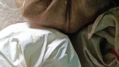 हरलाखी: बलुआहा से पुलिस ने लावारिस अवस्था में 90बोतल शराब किया बरामद, अज्ञात तस्कर के विरुद्ध प्राथमिकी दर्ज