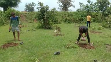 ढीमरखेड़ा: ग्राम पंचायत देवरी पाठक के युवाओं ने किया वृक्षारोपण🌱🥦#nwesleaders #public