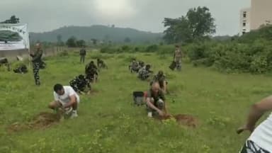 पीरटांड: खुखरा पंचायत सीआरपीएफ 154 बटालियन द्वारा पौधा रोपन कार्यक्रम का आयोजन