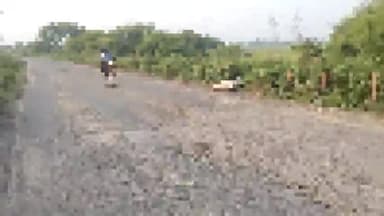 सरई: सासन गनियारी मुख्य मार्ग पर पिकअप वाहन गोवंश को मारी टक्कर गोवंश की मौके पर हुई मौत वाहन चालक वाहन लेकर हुआ फरार