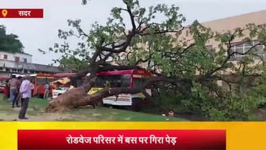 आज़मगढ़: आजमगढ़ जिले के रोडवेज परिसर में खड़ी बस पर गिरा पेड़, स्थानीय निवासियो ने कहा रोड किनारे से जर्जर पेड़ो को वन विभाग कटवाये