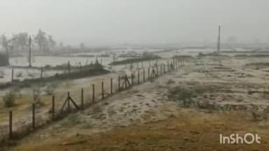 बेमेतरा: बेमेतरा जिला में 1 जून से 18 अगस्त सुबह 8 बजे तक 516.4 मिमी औसत वर्षा दर्ज,भू-अभिलेख शाखा ने दी जानकारी