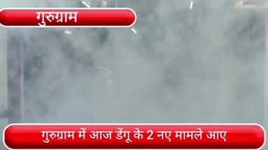 हरसरू: गुरुग्राम में आज डेंगू के 2 नए मामले सामने आए, कुल मरीजों की संख्या 57 पहुंची, 12 मरीज हॉस्पिटल में भर्ती