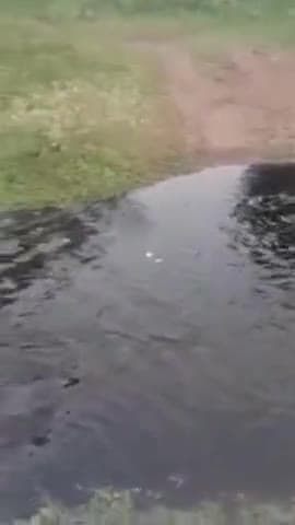 उज्जैन ग्रामीण: गोंदिया ट्रैकिंग ग्राउंड से निकाल रहा है केमिकल युक्त पानी, जानवर हो रहे हैं बीमार