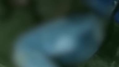 गुनौर: पवई गुनोर मुख्य सड़क मार्ग पर मोटरबाइक अनियंत्रित होकर गिरी बाइक चालक हुआ घायल