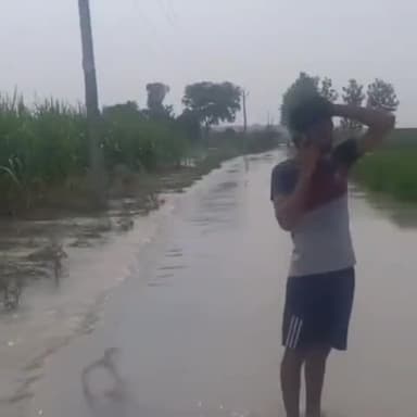 धनौरा: मंडी धनोरा के गांव चंद्रा में बाढ़ का पानी सड़क पर किसानों की फसल हुई पूरी तरह से बर्बाद मुआवजे की मांग