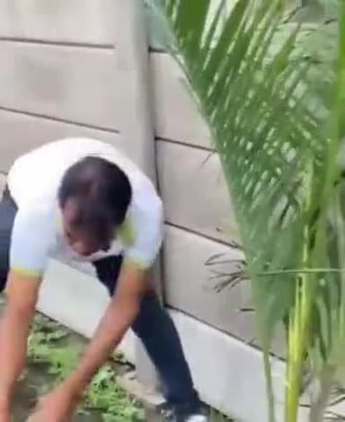 मुंगेली: वीर शहीद धनंजय सिंह स्टेडियम मुंगेली में स्टार आफ टुमारो संस्था ने पौधरोपण किया, लगाया ट्री गार्ड, की साफ सफाई