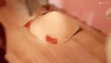 सिंगरौली: गोरा के पंचायत भवन में राष्ट्रीय ध्वज को नीचे रखकर उसी के ऊपर प्रसाद रखकर किया गया वितरण, वीडियो हुआ वायरल