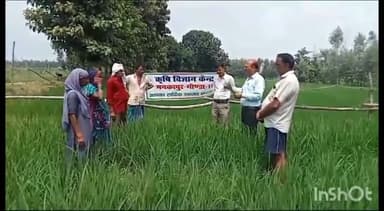 मनकापुर: कृषि विज्ञान केंद्र मनकापुर में धान में समसामयिक कार्य विषय पर प्रशिक्षण हुआ संपन्न