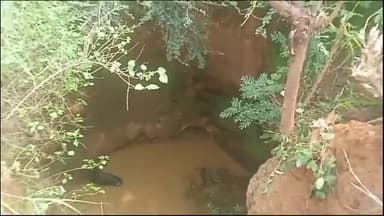 शिवपुरी: छितीपुर गांव में कुएं मे गिरी नीलगाय वन विभाग  का रेस्क्यू जारी ,