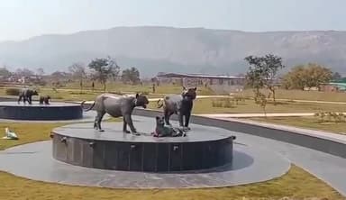 राजगीर: राजगीर में सोमवार को जू- सफारी एवं नेचर सफारी पार्क बंद रहने के कारण पूरा दिन पर्यटक भ्रमण नहीं कर पाए