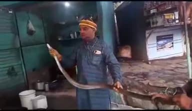 जबलपुर: पिसनहारी मढिया क्षेत्र में हेयर कटिंग सैलून के पीछे बैठा था आठ फीट लंबा धामन सांप सर्प विशेषज्ञ ने पकड़ा