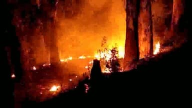 इसराना: रोहतक नेशनल हाईवे पर एनसी मेडिकल कॉलेज इसराना के पास सड़क किनारे खडे पेड़ पौधों में अज्ञात ने लगाई आग