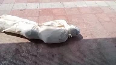 पिंड्रा: शिवरामपुर गांव में सर्पदंश से वृद्ध महिला की मौत, परिवार में पसरा मातम