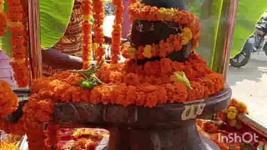 कादीपुर: रानीपुर कायस्थ गांव में लोककल्याणार्थ नर्मदेश्वर शिवलिंग की शोभायात्रा के साथ हुआ स्थापना कार्यक्रम