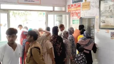 धनौरा: गजरौला शहर में ग्रामीण इलाकों में आवारा कुत्ते और बंदरों का बड़ा आतंक 38 लोगों पर किया हमला दो को किया सीएचसी से रेफर