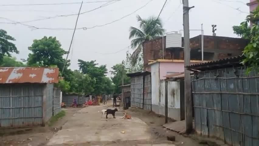 पूर्णिया पूर्व: purnea me yo Raha hai Nagar Nigam ki ho rahi hai saaf Safai Purnia Subhash Nagar Nigam Swasthya#purniabihar #alokkumar #