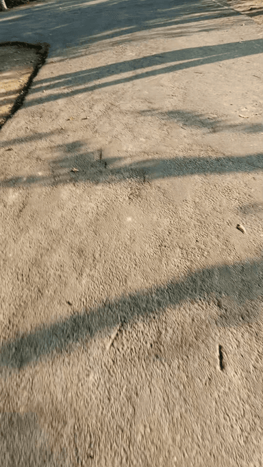 सावन की शुरुआत मै  दर्द भरे नगमे