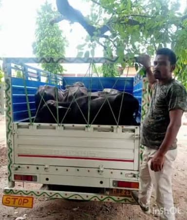 गोपालगंज: रतनसराय स्टेशन से बरौली थाने की पुलिस ने वाहन जांच के दौरान एक पिकअप से 10 भैंस के बच्चे किए बरामद, पिकअप ज़ब्त