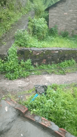 Dewal-देवल क्षेत्र में सुबह से हो रही तेज Chamoli
