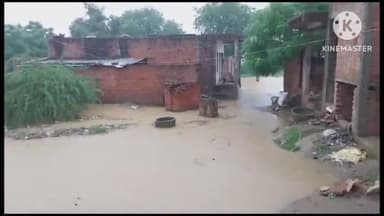 फिरोज़ाबाद: बीते दिन से निरंतर जारी बरसात में गांव दतौजी खुर्द में जगह जगह जलभराव, घरों से निकलने को परेशान रहे लोग