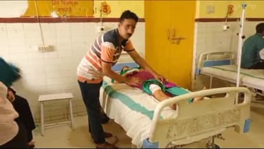 रायबरेली: छोटी तकिया राजघाट में पालतू सुअरों ने महिला को काटकर किया घायल, जिला अस्पताल में कराया गया भर्ती