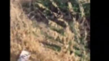 बायतु: भीमड़ा गांव मे बुजुर्ग व्यक्ति के साथ जमीनी विवाद को लेकर लाठी-डंडो से मारपीट करने का वीडियो आया सामने,पुलिस जुटी जांच मे